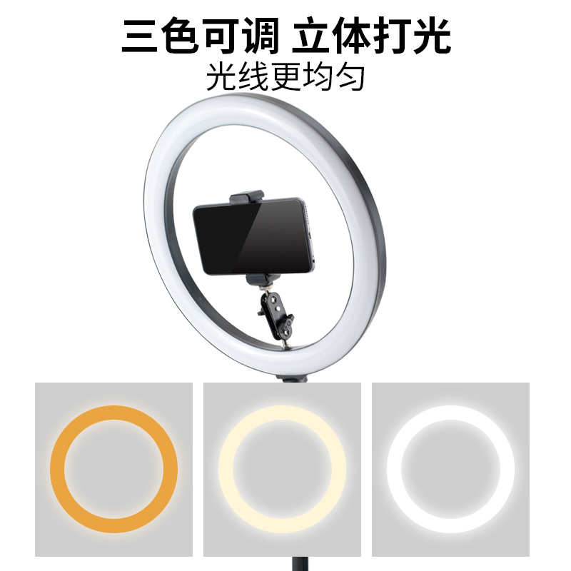 Desktop-Ringlicht mit Überkopf – Photography Lighting Overhead Bewertung und Preis