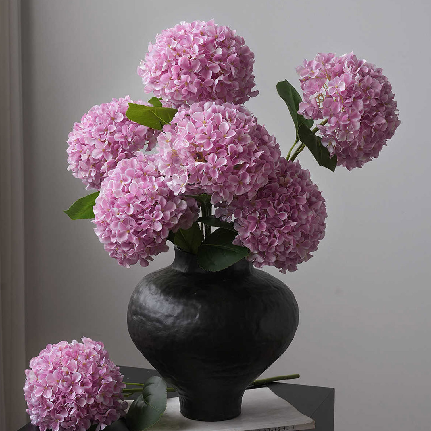 1 Stück Luxuriöse Hortensie Ku – Photography Lighting Simulator Free Bewertung und Preis