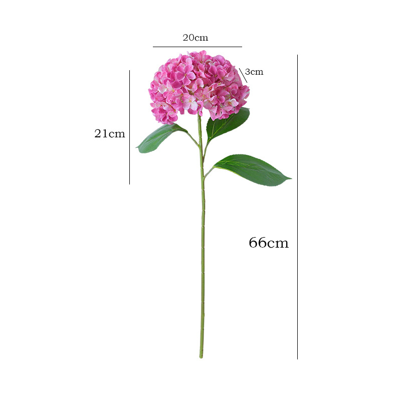 1 Stück Luxuriöse Hortensie Ku – Photography Lighting Simulator Free Bewertung und Preis
