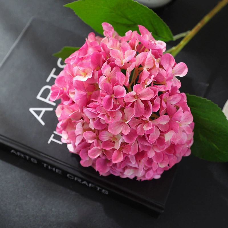 1 Stück Luxuriöse Hortensie Ku – Photography Lighting Simulator Free Bewertung und Preis